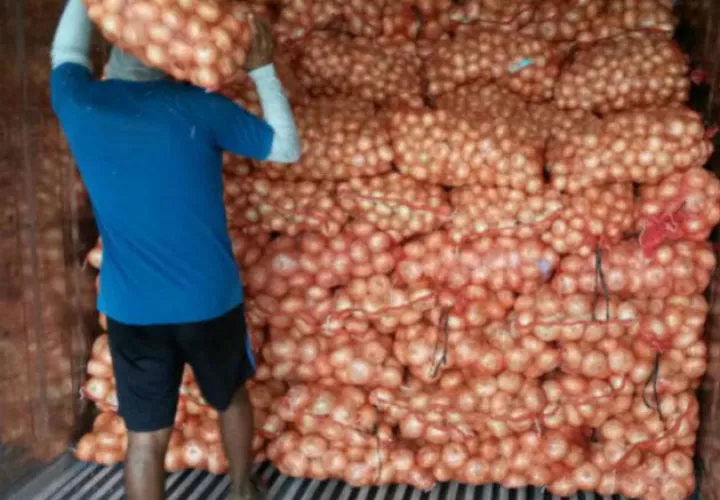 Al país debe ingresar 60 mil quintales de cebolla a 0% de arancel. Archivo