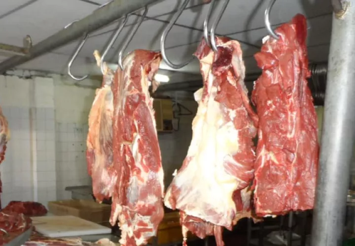 Los veterinarios  están dispuesto al diálogo a través de la dirigencia nacional, quien desde un inicio lleva adelante los acuerdos y los cuales no han sido cumplidos. Foto/José Vásquez