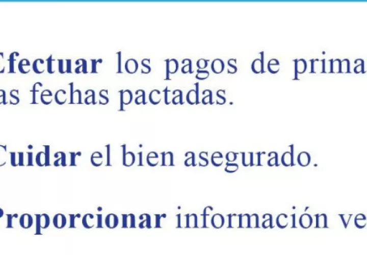 Superintendencia de Seguros recomienda cumplir con las obligaciones