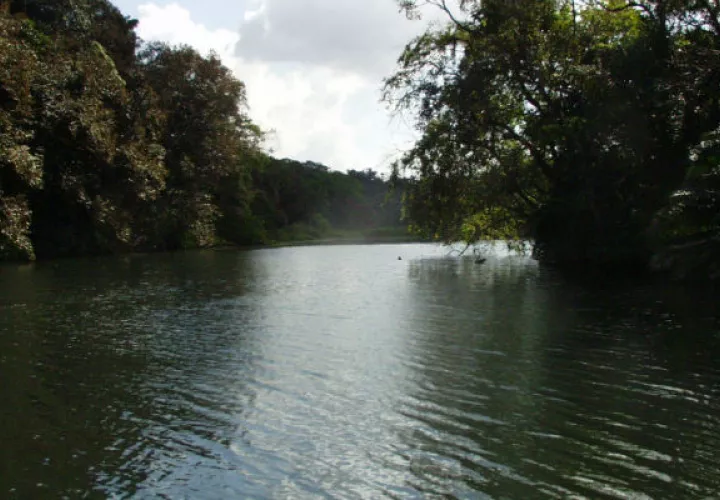 La Cuenca del Canal ha sido afectada por la sequía.