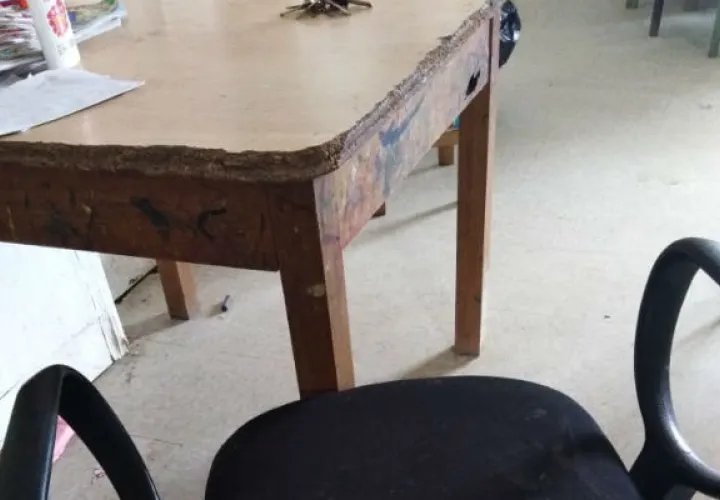 Educadores que solo reciben 220 dólares al mes llevan siete meses sin cobrar. Foto: Cortesía.