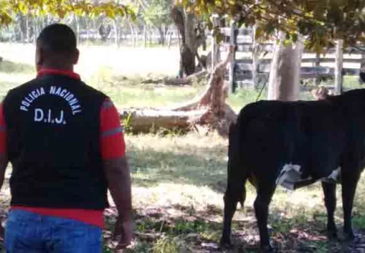 El incidente ocurrió en 2016, en Remedios.