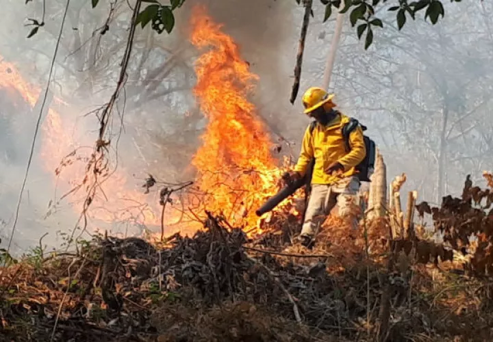 Los incendios forestales han devastado cientos de hectáreas en provincias como Darién y Chiriquí.