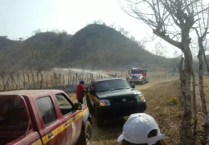 El incendio en un terreno del INA en Divisa afectó árboles de teca y pasto. Foto/ Thays Domínguez