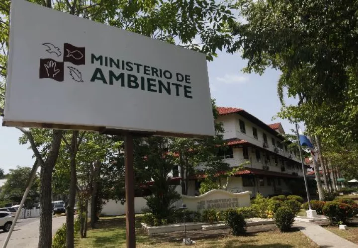 Programa dirigido a estudiantes de educación básica, premedia y media de los centros educativos públicos.