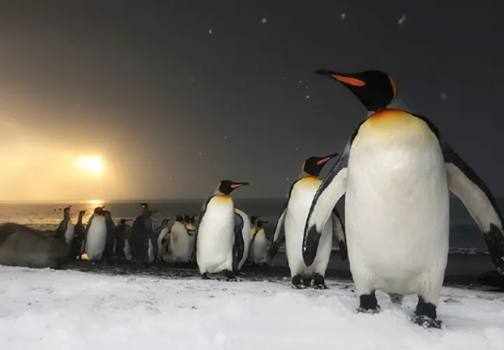  'Our Planet' mostrará los sitios naturales más espectaculares del mundo.  