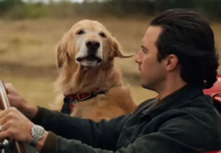 Película "Mi amigo Enzo".