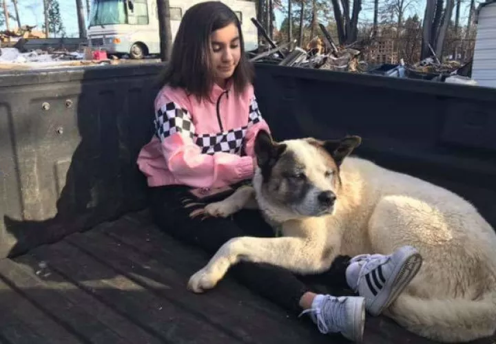 Kingston junto a su dueña luego de ser encontrado. Foto: AP. 