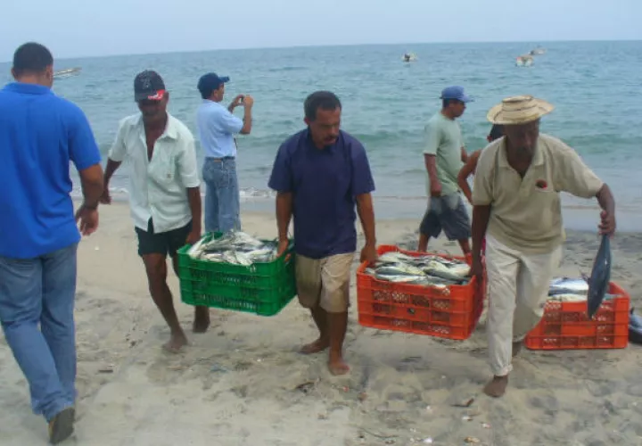 Aseguran que la  trazabilidad es fundamental para poder exportar a la UE, y a los Estados Unidos y  poder demostrar de dónde viene el producto  de la pesca.