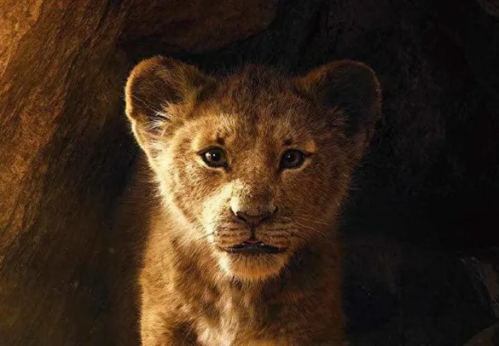 El Rey León. 