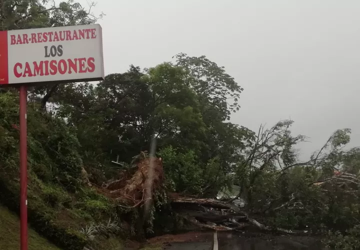 Los moradores y los bomberos trabajan para reabrir la vía. Foto/Cortesía