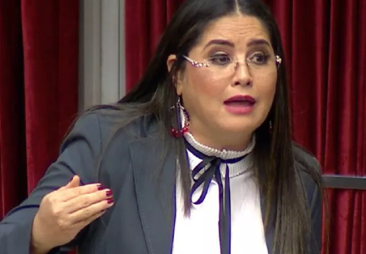 La diputada Zulay Rodríguez hizo la denuncia en el Pleno. Foto de cortesía
