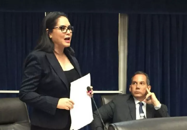 Diputada Zulay Rodríguez 