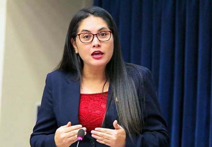 La diputada Zulay Rodríguez solicitó que se cite a la directora de Migración, Samira Gozaine a la Asamblea Nacional.