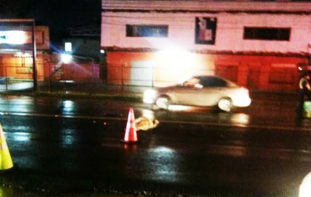 El atropello se registró en horas de la madrugada.