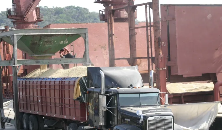 Los productores aseguran que  en varias instalaciones del Estado se almacena arroz importado. Archivo