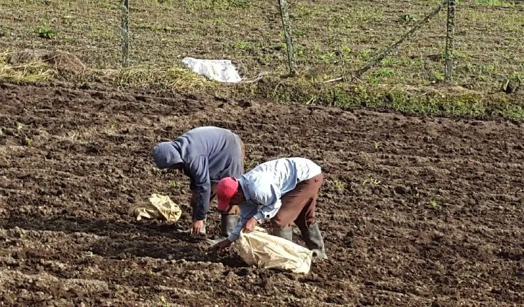 Los productores están esperando respuestas concretas por parte del Ejecutivo. /Foto José Vásquez 