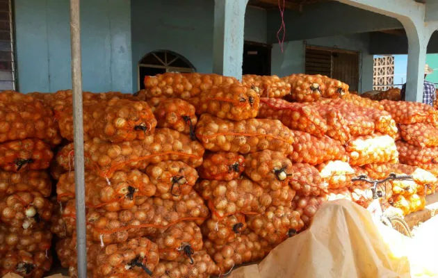 Los cebolleros natariegos han sufrido grandes pérdidas económicas. Foto: Elena Valdez