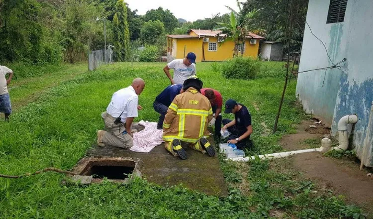 Bomberos y paramédicos asistieron al menor, pero fue en vano. /Foto Elena Valdez 