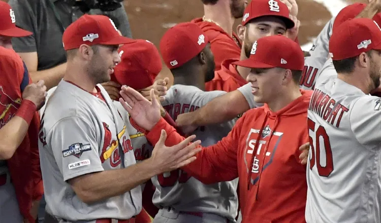 Jugadores de los Cardenales festejan. AP