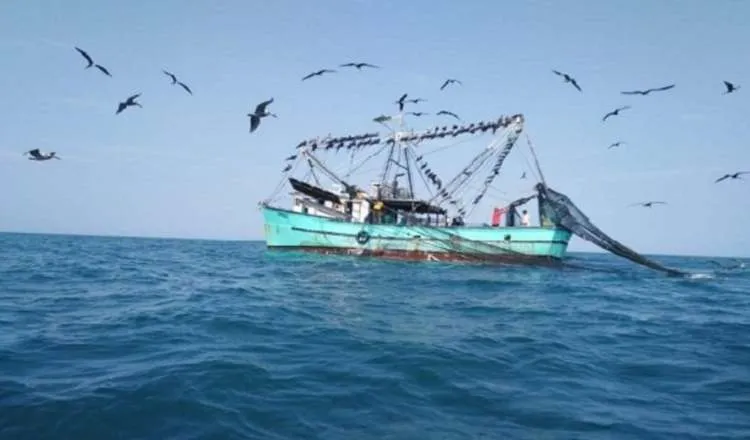 Política cero tolerancia contra la pesca ilegal.