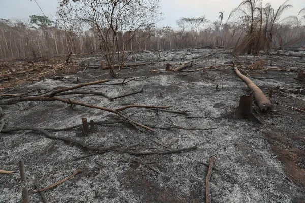 Los científicos achacan el fenómeno a una reacción más fuerte sobre el clima del aumento de gases invernaderos de lo que mostraba el estudio anterior.. FOTO/EFE