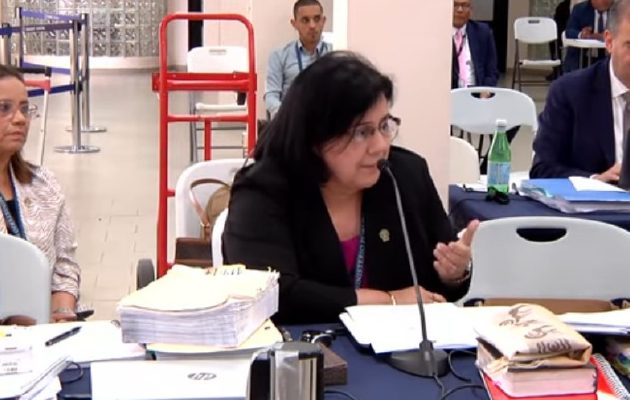 La fiscal del caso, Ruth Morcillo, durante la presentación de las más de 10 mil fojas con "nuevas" pruebas. Cortesía