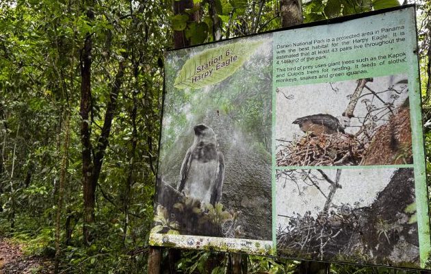 Parque Nacional de Darién, el más extenso del país.  Archivo
