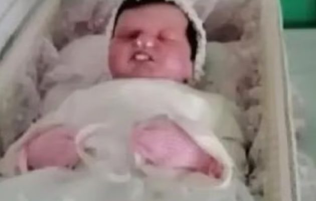 El caso de la muñeca en el ataúd ocurrió en octubre de 2023. El caso de la muñeca en el ataúd ocurrió en octubre de 2023.