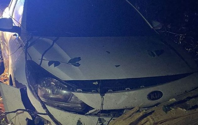 Cayeron varios árboles en la vía. Foto: Diomedes Sánchez