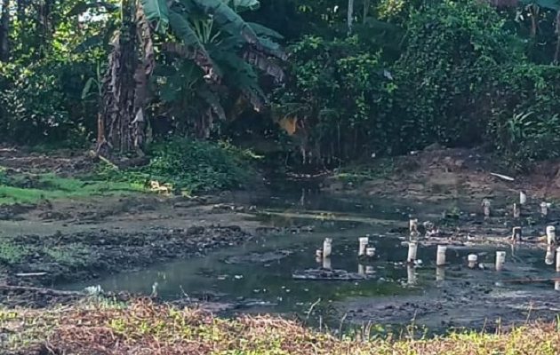 Los residentes hicieron un llamado urgente a las autoridades para que intervengan de manera inmediata y se adopten medidas que garanticen condiciones sanitarias adecuadas. Foto. Melquíades Vásquez Los residentes hicieron un llamado urgente a las autoridades para que intervengan de manera inmediata y se adopten medidas que garanticen condiciones sanitarias adecuadas. Foto. Melquíades Vásquez