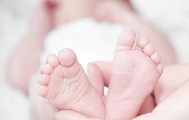 La circulación viral ha sido afectada por eventos globales. Foto: Pexels