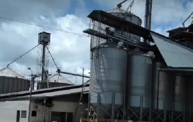 En lo que va del año se han reportado un total de 14 crímenes en la provincia de Chiriquí.