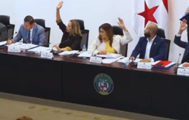 Comisión de la Mujer, la Niñez, la Juventud y la Familia. Comisión de la Mujer, la Niñez, la Juventud y la Familia.