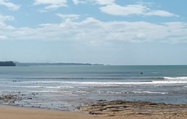 Sinaproc indicó que se mantendrá la vigilancia en el sector y exhortó a reportar de inmediato cualquier nuevo avistamiento. Foto. Ilustrativa