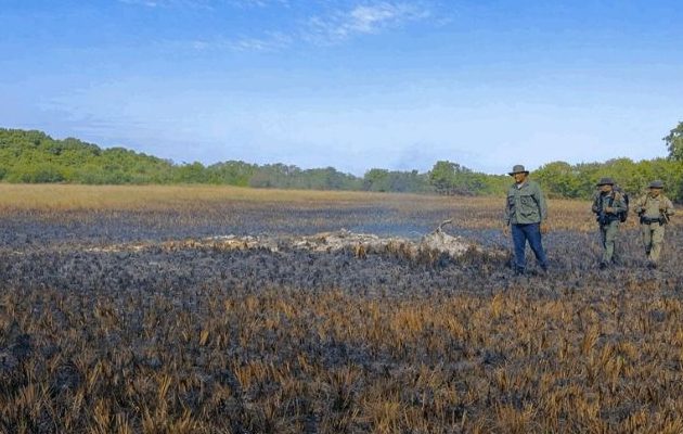 Se detectaron incidentes relacionados con incendio de masa vegetal. Foto: Cortesía