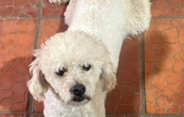 Mateo murió a mano de adictos.