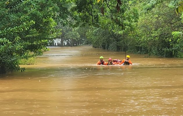 Pese a los esfuerzos realizados, se confirmó su fallecimiento en el sitio, provocando escenas de profundo dolor entre sus seres queridos.