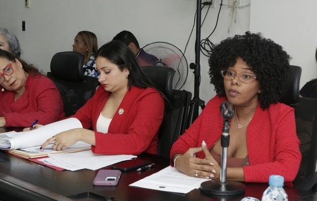Subcomisión de Trabajo, Salud y Desarrollo Social de la Asamblea Nacional. Foto: Cortesía