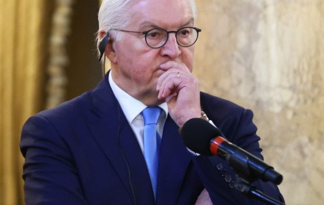 El presidente de Alemania, Frank-Walter Steinmeier. Foto: EFE