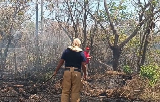Existen diversas sospechas sobre el origen del incendio y no se descarta que haya sido provocado por mano criminal. Existen diversas sospechas sobre el origen del incendio y no se descarta que haya sido provocado por mano criminal.