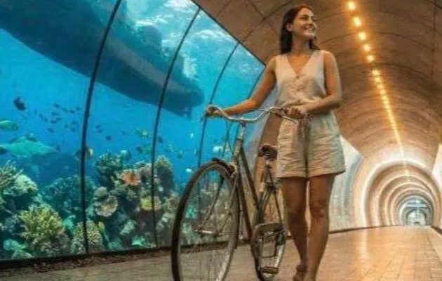 “The Canal Underline” presentado por la Alcaldía de Panamá. Foto: Cortesía