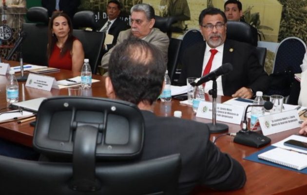 Durante la reunión. Foto: cortesía