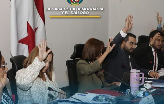 Comisión de Trabajo, Salud y Desarrollo Social de la Asamblea Nacional. Foto: Cortesía Comisión de Trabajo, Salud y Desarrollo Social de la Asamblea Nacional. Foto: Cortesía