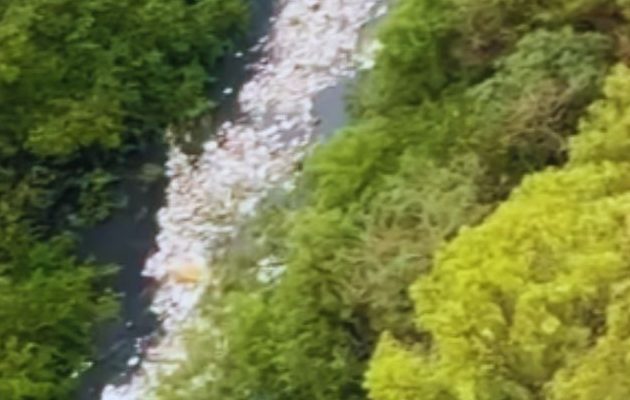 El río Matías Hernández arrastra una gran cantidad de basura. 