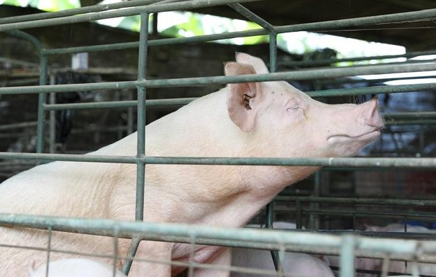 La guía promueve la adopción de prácticas de Producción Más Limpia. Foto: MiAmbiente La guía promueve la adopción de prácticas de Producción Más Limpia. Foto: MiAmbiente