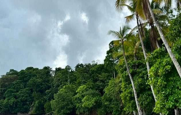 El parque resguarda 44 islas, islotes y cayos que forman parte del Sistema Nacional de Áreas Protegidas. Foto: Cortesía El parque resguarda 44 islas, islotes y cayos que forman parte del Sistema Nacional de Áreas Protegidas. Foto: Cortesía