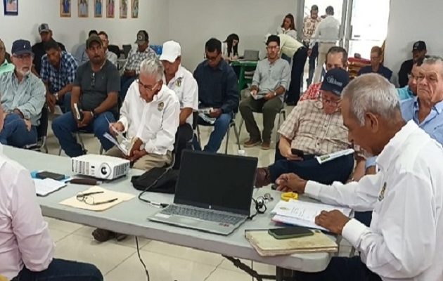 La zona de mayor vulnerabilidad se ubica en la frontera entre Panamá y Costa Rica, donde se registran más de 70 pasos clandestinos empleados para trasladar ganado hurtado. Foto. Melquíades Vásquez La zona de mayor vulnerabilidad se ubica en la frontera entre Panamá y Costa Rica, donde se registran más de 70 pasos clandestinos empleados para trasladar ganado hurtado. Foto. Melquíades Vásquez