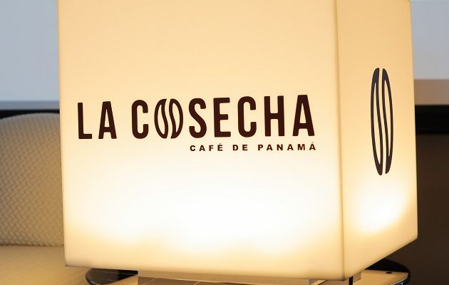 La Cosecha 2026 de café panameño como símbolo de identidad y proyección internacional. La Cosecha 2026 de café panameño como símbolo de identidad y proyección internacional.