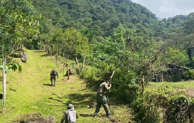 MiAmbiente aplicarán sanciones administrativas de hasta $9,999.99, sin perjuicio de entablar las denuncias correspondientes ante la Fiscalía Ambiental por delitos contra el ambiente y el ordenamiento territorial. Foto. Cortesía MiAmbiente aplicarán sanciones administrativas de hasta $9,999.99, sin perjuicio de entablar las denuncias correspondientes ante la Fiscalía Ambiental por delitos contra el ambiente y el ordenamiento territorial. Foto. Cortesía